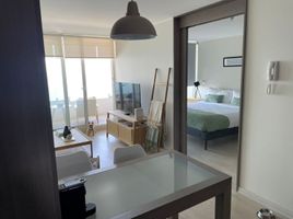 1 Bedroom Apartment for sale in Chile, Vina Del Mar, Valparaiso, Valparaiso, Chile