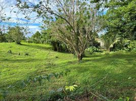  Land for sale at Ponderosa Leisure Farms, Silang