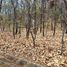  Land for sale in Amatitan, Jalisco, Amatitan