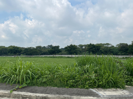  Terrain à vendre à alabang west village., Tondo I / II