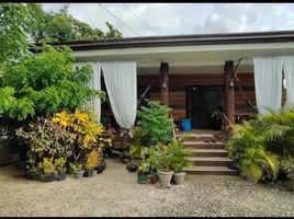 4 Bedroom House for sale in Cebu, Central Visayas, Tabuelan, Cebu