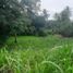  Land for sale at Ponderosa Leisure Farms, Silang