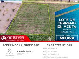  Terreno (Parcela) en venta en Imbabura, San Fco. De Natabuela, Antonio Ante, Imbabura