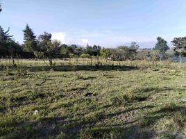  Terrain for sale in Tumbaco, Quito, Tumbaco