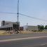  Land for sale in Irapuato, Guanajuato, Irapuato