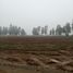  Land for sale in Chile, San Clemente, Talca, Maule, Chile