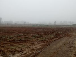  Land for sale in Chile, San Clemente, Talca, Maule, Chile