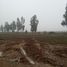  Land for sale in Chile, San Clemente, Talca, Maule, Chile