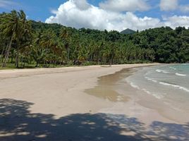  Land for sale in Puerto Princesa City, Mimaropa, Puerto Princesa City, Palawan, Mimaropa