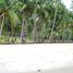  Land for sale in Puerto Princesa City, Mimaropa, Puerto Princesa City, Palawan, Mimaropa