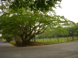  Land for sale in Cali, Valle Del Cauca, Cali