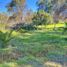  Land for sale in Nuble, Chillan, Diguillin, Nuble