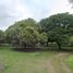  Land for sale in San Pascual, Calabarzon, San Pascual