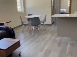 Condominium 1 chambre à louer à San Pedro Garza Garcia, Nuevo Leon, San Pedro Garza Garcia