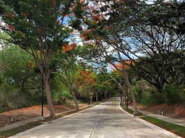  Grundstück zu verkaufen in Batangas, Calabarzon, Calatagan