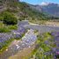  Land for sale in Chile, Coihaique, Coihaique, Aisen Del General Carlos Ibanez Del Campo, Chile
