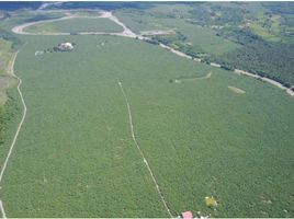  Terrain for sale in Davao del Norte, Davao, Carmen, Davao del Norte