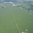  Land for sale in Carmen, Davao, Carmen, Davao del Norte