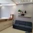 1 Phòng ngủ Chung cư for rent in Phường 12, TP.Hồ Chí Minh, Phường 12