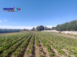  Terreno (Parcela) en venta en Chile, Requinao, Cachapoal, Libertador General Bernardo O'Higgins, Chile