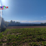  Terreno (Parcela) en venta en Chile, Requinao, Cachapoal, Libertador General Bernardo O'Higgins, Chile