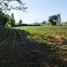  Terreno (Parcela) en venta en Maule, Yerbas buenas, Linares, Maule