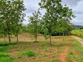  Land for sale in La Chorrera, Panama Oeste, Mendoza, La Chorrera