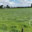  Land for sale in Los Lagos, Entre Lagos, Osorno, Los Lagos