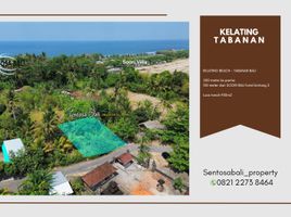  Land for sale in Kerambitan, Tabanan, Kerambitan