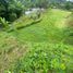  Land for sale in Santo Domingo De Los Colorados, Santo Domingo De Los Tsachilas, Santo Domingo De Los Colorados, Santo Domingo, Santo Domingo De Los Tsachilas