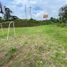  Land for sale in Santo Domingo De Los Colorados, Santo Domingo De Los Tsachilas, Santo Domingo De Los Colorados, Santo Domingo, Santo Domingo De Los Tsachilas