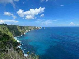  Grundstück zu verkaufen in Klungkung, Bali, Nusa Penida