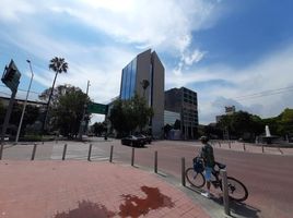 325 m2 Office for rent in FazWaz.fr, Guadalajara, Jalisco, Mexique