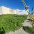  Land for sale in Carmen, Campeche, Carmen