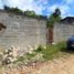 Land for sale in Jepelacio, San Martin, Jepelacio, Moyobamba