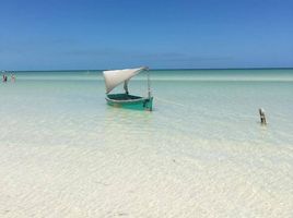  Grundstück zu verkaufen in Lazaro Cardenas, Quintana Roo, Lazaro Cardenas
