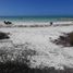  Grundstück zu verkaufen in Lazaro Cardenas, Quintana Roo, Lazaro Cardenas