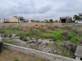  Terreno (Parcela) en venta en Montecristi, Manabi, Montecristi, Montecristi