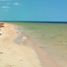  Terreno (Parcela) en venta en Dzidzantun, Yucatán, Dzidzantun