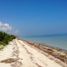  Terreno (Parcela) en venta en Dzidzantun, Yucatán, Dzidzantun