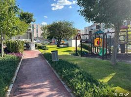 2 Bedroom Apartment for rent in Queretaro, Queretaro, Queretaro, Queretaro