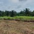  Terreno (Parcela) en venta en Tagaytay City, Calabarzon, Tagaytay City, Cavite, Calabarzon
