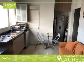 1 Bedroom Apartment for rent in Bare Foot Park (Parque de los Pies Descalzos), Medellin, Medellin