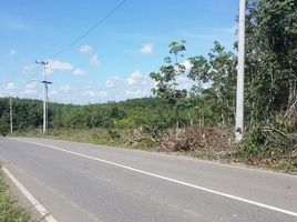  Land for sale in Murung Pudak, Tabalong, Murung Pudak