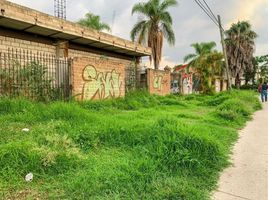 Terrain à vendre à Zapopan, Jalisco, Zapopan, Jalisco
