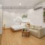 1 Bedroom Apartment for rent in My An, Da Nang, My An