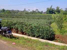  Tanah for sale in Kerjo, Karanganyar, Kerjo