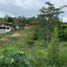  Land for sale in Giron, Santander, Giron