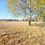  Land for sale in San Javier, Santa Fe, San Javier