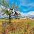  Land for sale in Villa De Leyva, Boyaca, Villa De Leyva